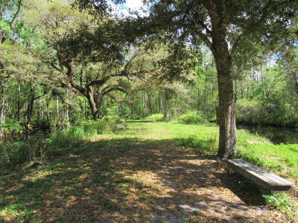 Hiking trail in Naples Florida