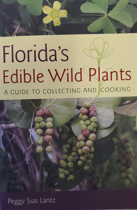 My Florida foraging edible plants guide