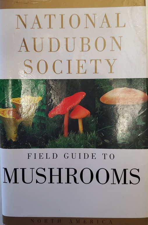 Mushroom Identification Guide and one of my top three foraging resources