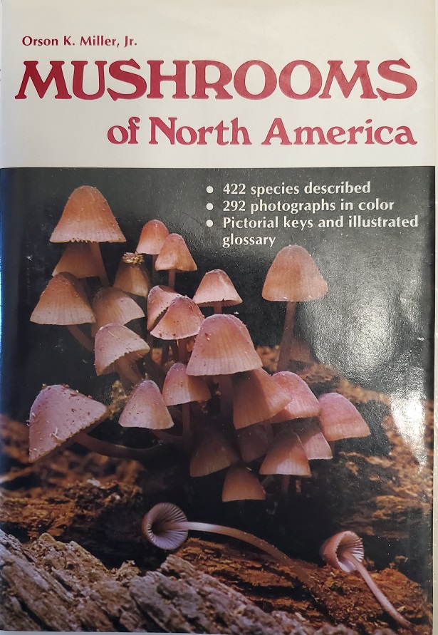 My first mushroom id guide