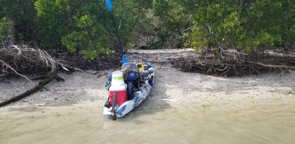 Foraging from a kayak or canoe