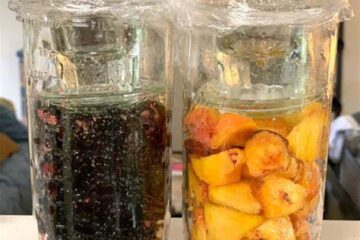 To show an example of simple fruit lacto fermentation