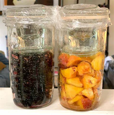 To show an example of simple fruit lacto fermentation