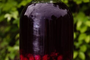 Make cider from foraged berries