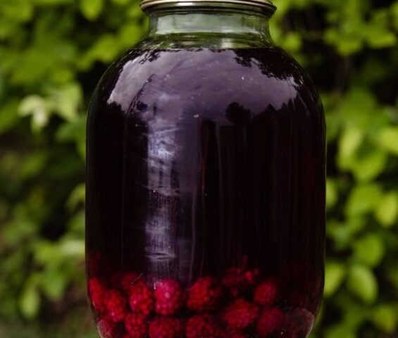 Make cider from foraged berries