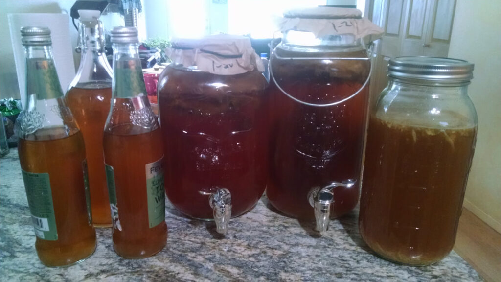 learn how to make Kombucha from scratch