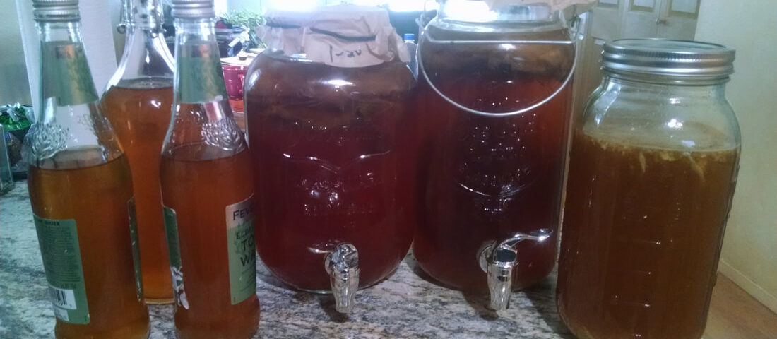 learn how to make Kombucha from scratch