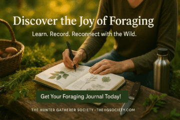Person writing in a foraging journal on a mossy forest floor with sunlight filtering through trees, surrounded by wild plants, mushrooms, and a woven basket.