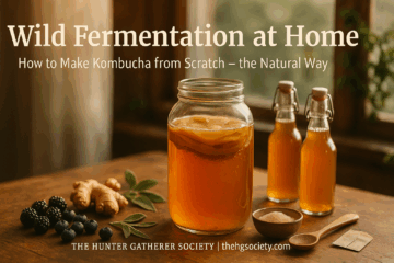 A large glass jar of homemade Kombucha with a visible SCOBY on top, surrounded by bottles of golden-brown Kombucha, blackberries, ginger, and sage on a rustic wooden table in natural sunlight.