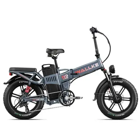 Wallke H9 AWD electric bike parked beside a forest trail with fat tires and dual motors, golden evening light shining through the trees.