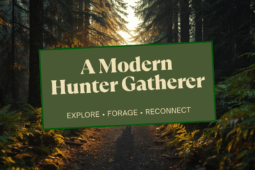 scenic forest background. Centered text A modern Hunter Gatherer then below that it reads Explore, Forage, Reconnect