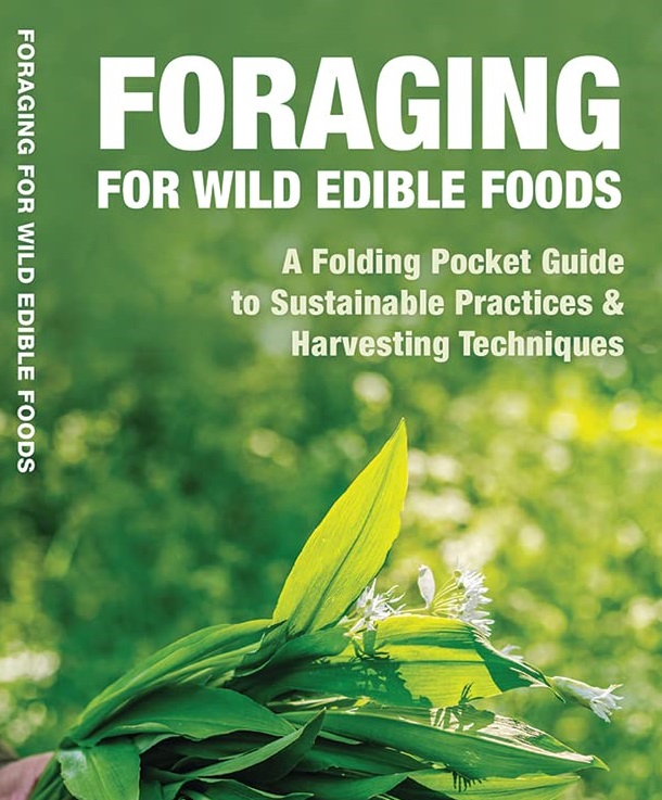 Pocket-sized field guide featuring edible plants and wild mushrooms, ideal for beginner foragers learning identification in the field.