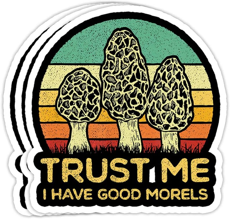 Nature-themed foraging stickers and patches featuring mushrooms and wild plants, used to decorate water bottles, journals, and backpacks.