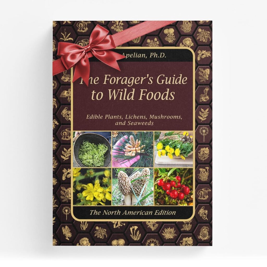 Cover of “The Forager’s Guide to Wild Foods,” a bestselling field guide used by foragers for plant and mushroom identification, featured in a holiday gift list.