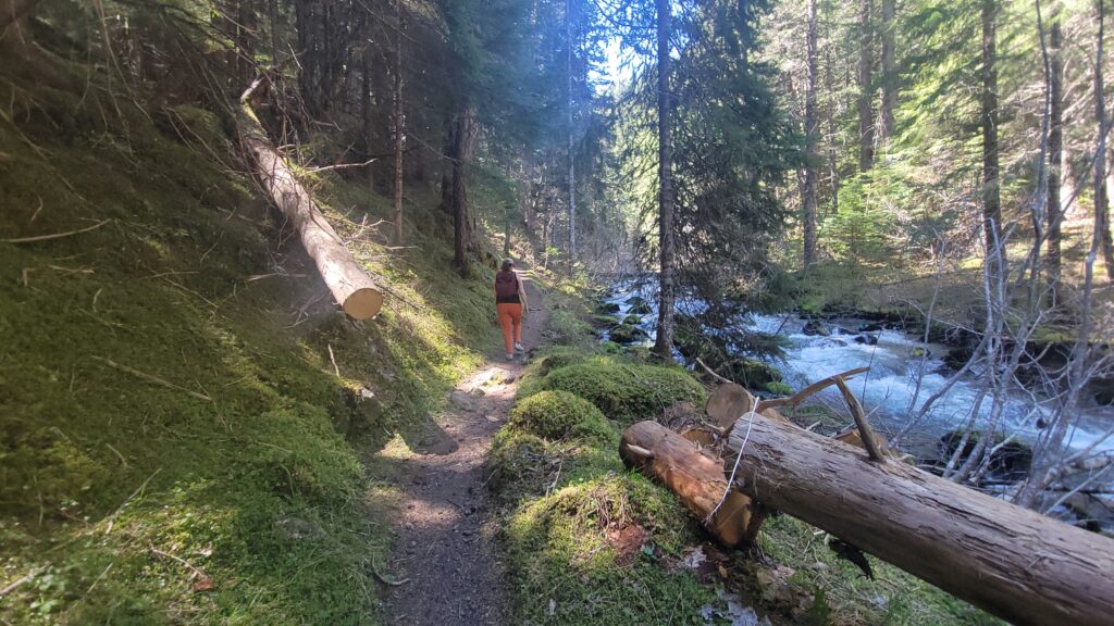 Scenic river views beside the Upper Dungeness Trail in Washington’s Olympic Peninsula