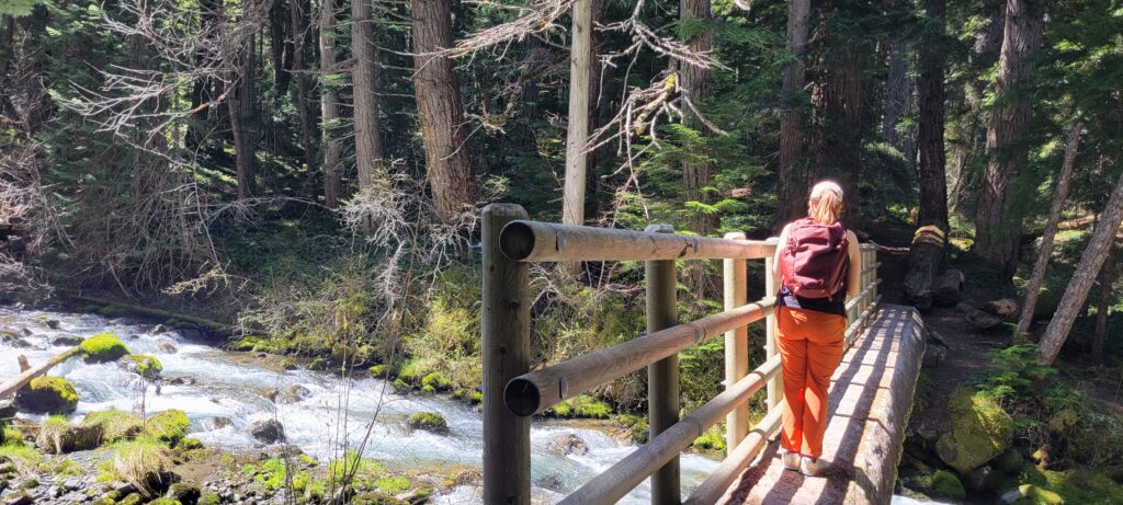 Hiker crossing a wooden bridge on the Upper Dungeness Trail in Olympic National Forest Washington