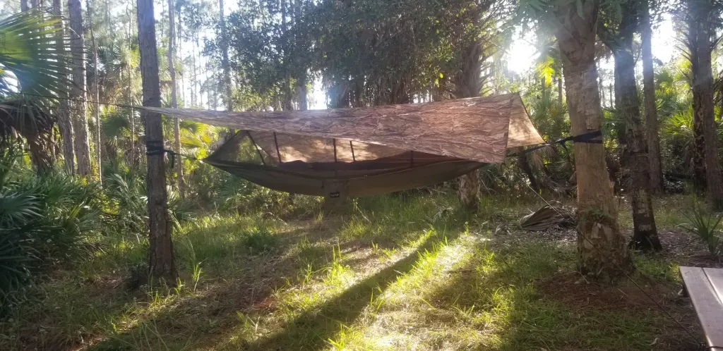 Hammock set up in a primitive camping site