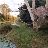 Hammock camping along a canal in Florida