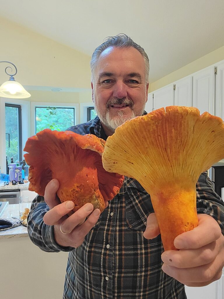 Giant lobster Mushrooms