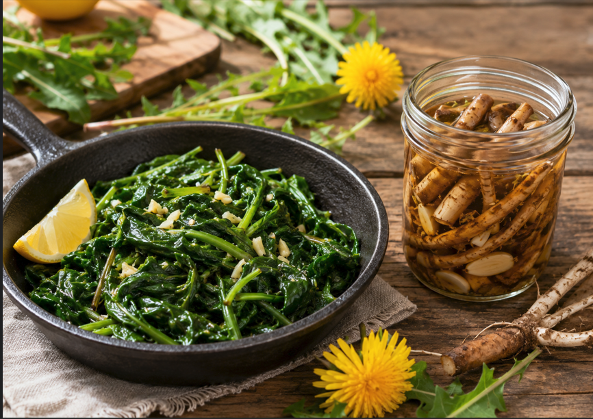 Pickled Roots Easy Dandelion Recipes: Greens and Pickled Roots
